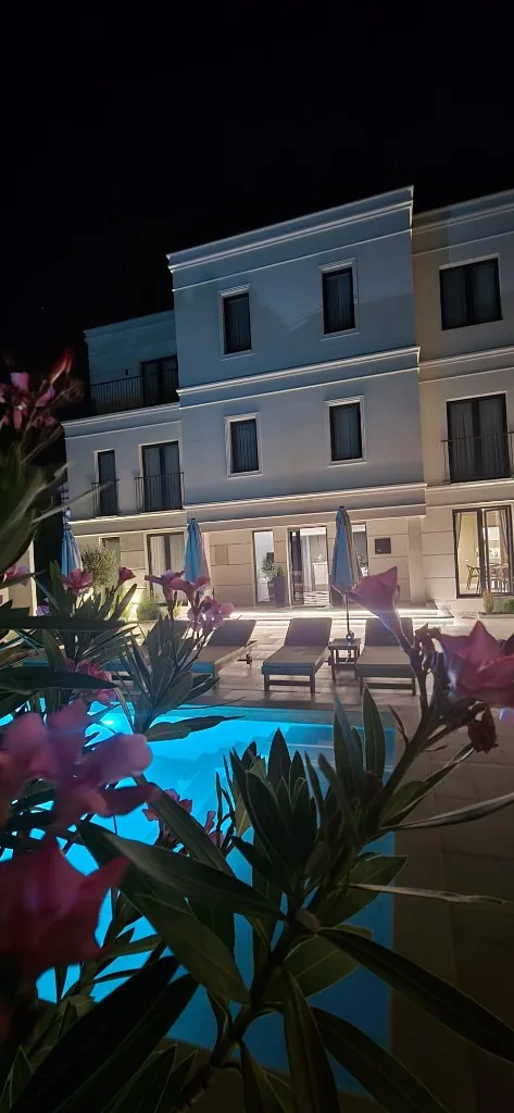 Bazen i Vila Vronsky noću